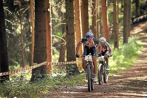 Hobby- und Lizenzfahrer nehmen am Wochenende die  anspruchsvolle Strecke für Mountainbiker  um Rammersweier in Angriff.  Foto: von Erichsen Foto: Schwarzwälder-Bote