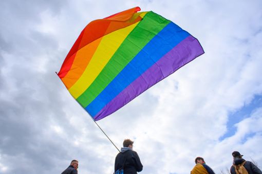 Unter anderem zum Thema Symbolik und  Teilnehmer an der Pride-Demo in Rottweil haben die Jungen Liberalen und die Grüne Jugend teils unterschiedliche Auffassungen. (Symbolfoto) Foto: Gabbert/dpa