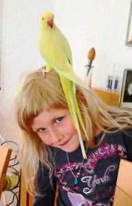 Sofia und Rosi. Das Mädchen ist noch da, der Vogel leider weg. Wer hat den gelben Alexandersittich gesehen? Foto: privat Foto: Schwarzwälder-Bote