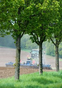 Das Landwirtschaftsamt informiert über Neuerungen bei Düngung und Pflanzenschutz im Ackerbau. Symbolfoto: Burgi Foto: Schwarzwälder-Bote