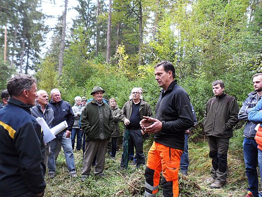 Die Bitzer Gemeinderäte verschafften sich bei ihrem Waldbegang einen Einblick in den Forst. Foto: Bitz Foto: Schwarzwälder-Bote