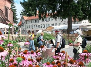 Das Projekt Klostergarten Herrenalb erfreut sich großer Beliebtheit und soll durch bürgerliches Engagement erhalten bleiben. Foto: Gartenschau Bad Herrenalb 2017