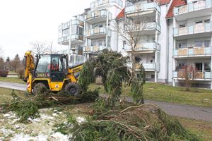 Sturmschäden vor dem Wennerhofareal beseitigen Mitarbeiter des Bauhofs. Foto: Reutter Foto: Schwarzwälder-Bote