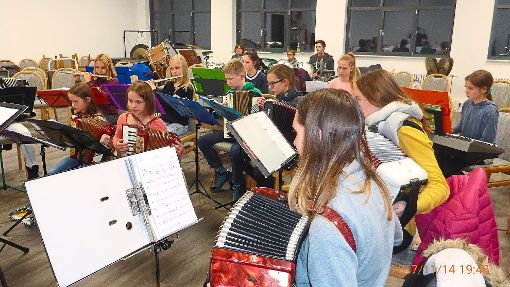 Der Nachwuchs des Akkordeonorchesters des Musikvereins Sulz präsentiert  sein Können. Foto: Verein Foto: Schwarzwälder-Bote