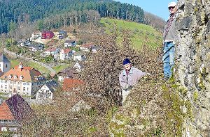 Wilhelm Schmider und Erich Holzer hauen die Ruine Walkenstein wieder frei. Foto: Haas