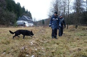 In Reichenau im Erzgebirge ist ein grausiger Mord geschehen. Foto: dpa