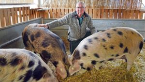 Gerhard Binder aus Boll inmitten seiner Turopolje-Schweine Foto: Jauch