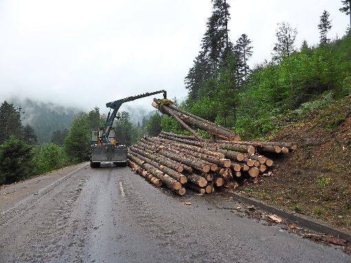 Mit Spezial-Schleppern wird das Holz transportiert. Fotos: Schmid Foto: Schwarzwälder-Bote