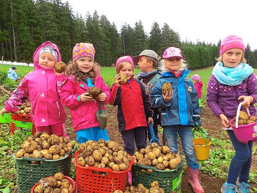 Neele, Mathilda, Maya, Marius, Alicia und Celine (von links) zeigen  stolz ihre gesammelten Riesenkartoffeln. Foto: Hegenauer Foto: Schwarzwälder-Bote