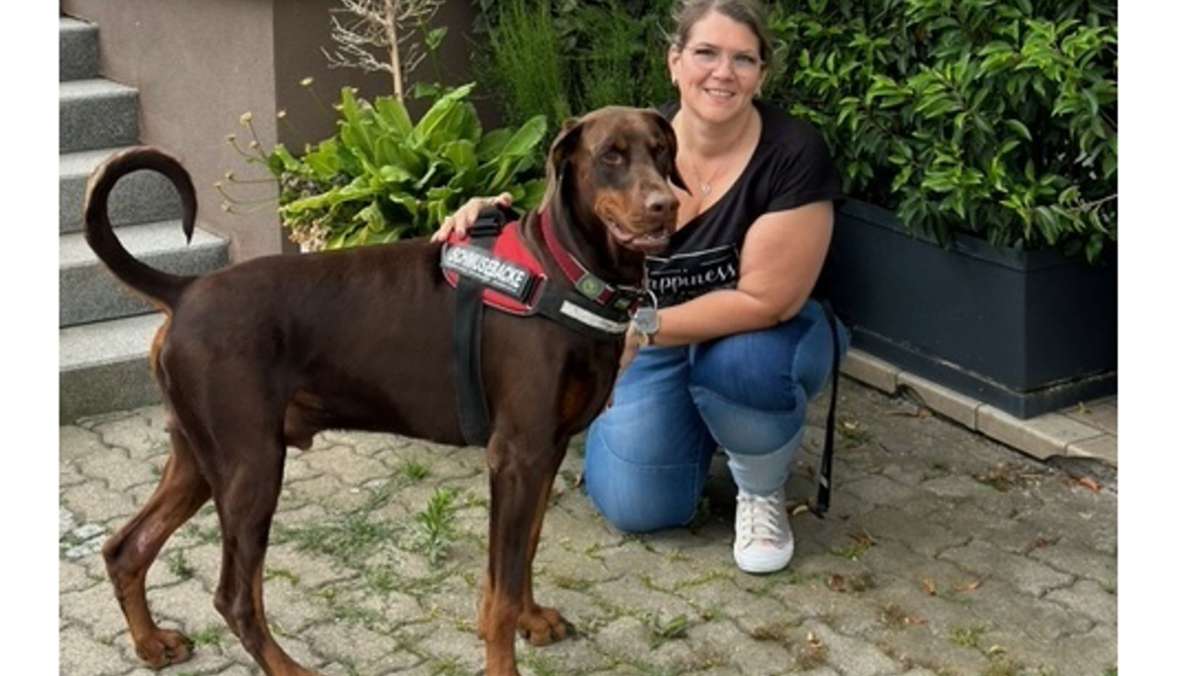 Bisinger Wachhund: Dobermann hält Einbrecher beim Fecker-Hof auf