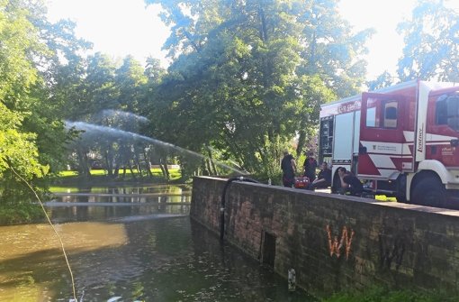 Die Feuerwehr wälzt das Wasser im ­Riedsee um Foto: SDMG