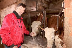 Nebenerwerbslandwirt Dieter Volz aus Gültlingen hält insgesamt 65 Kühe. Foto: Kauffmann