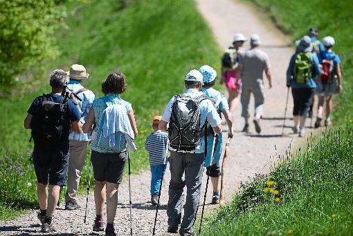 Am Mittwoch, 6. September, bietet der  Schwarzwaldverein eine  Wanderung in den Spätsommer an. Start ist in Riedböhringen. Foto: Seeger Foto: Schwarzwälder-Bote