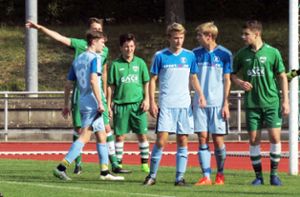 Die Nagolder A-Jugendlichen konnten beim 2:0 in Herrenberg voll überzeugen. Foto: Sternad Foto: Schwarzwälder-Bote