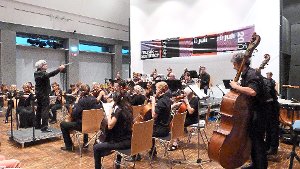 Christof Harr  leitete das Orchester des Musiksommers Altensteig,  das  zusammen mit Florian Uhlig  ein beeindruckendes  Konzert  ablieferte. Foto: Kosowska-Németh Foto: Schwarzwälder-Bote