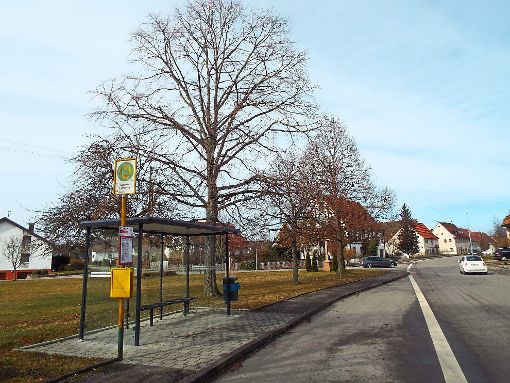 Unweit der Haltestelle Turmstraße soll das Mitfahrbänkle aufgestellt werden. Foto: Schnurr Foto: Schwarzwälder-Bote
