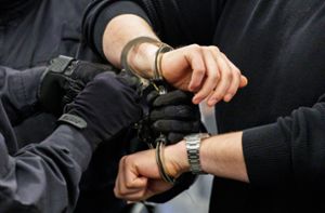 Beim Kampf gegen eine Gruppierung von Anrufbetrügen vermeldet die Polizei eine bedeutende Festnahme (Symbolbild). Foto: picture alliance/dpa/AFP/POOL/Jens Schlueter