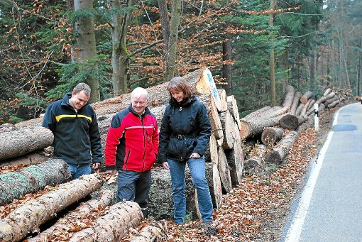 Thomas Hingsberg (links) und Robert Roller freuen sich als Vertreter der Forstbehörde mit Waldbesitzerin Corinna Peters über den Gewinn aus dem gemeinsamen Holzverkauf. Foto: Fisel Foto: Schwarzwälder-Bote