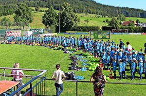 uf den Hofstetter Sportplätzen ist momentan viel los: 180 Kinder trainieren dort. Foto: Störr