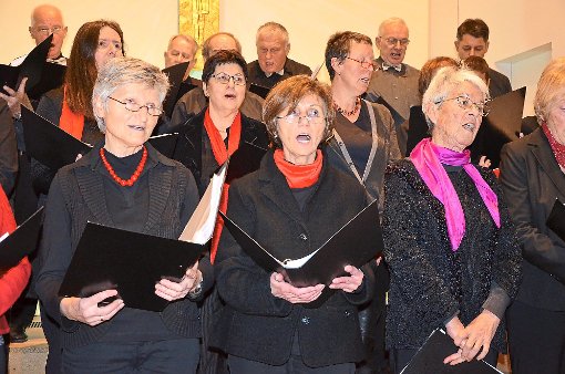 Der Liederkranz Holzbronn stimmte mit einem niveauvollen Konzert auf Weihnachten ein.  Foto: Bausch Foto: Schwarzwälder-Bote