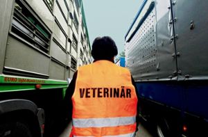 Tiertransporte sollen in Zukunft besser überwacht werden. Foto: dpa