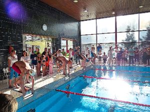 Rund 180 Sportler  aus  zehn Vereinen  stürzten sich im Lahrer Hallenbad ins Wasser.   Foto: Verein Foto: Schwarzwälder-Bote