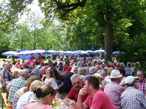 Viele Besucher sind zum Schlosshoffest in Lautlingen gekommen. Foto: Gerstenecker Foto: Schwarzwälder-Bote