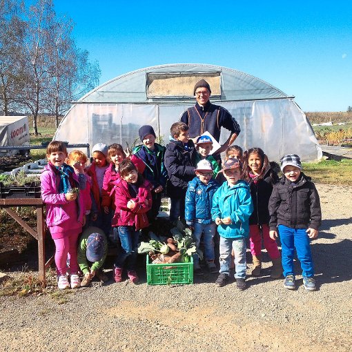 Die Bio-Gärtnerei bei Leidringen haben die Isinger Kindergartenkinder besichtigt. Foto: Bucher Foto: Schwarzwälder-Bote