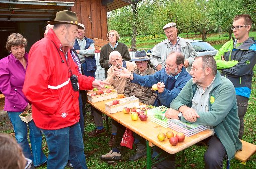 Apfel-Bestimmung im Empfinger Obst- und Gartenbauverein. Am Tisch rechts  Christian Kugler, daneben Markus Zehnder, die eingeladenen Referenten.  Foto: Baiker Foto: Schwarzwälder-Bote