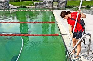Gute Nachricht für Schwimmer: Im Naturfreibad Herrenberg soll es keine Bakterien mehr geben Foto: factum/Weise