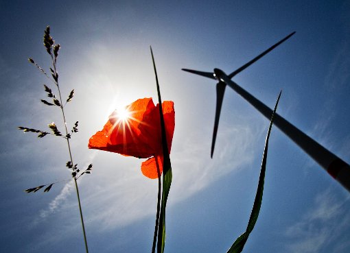 Eine Möglichkeit, klimafreundlich zu agieren, ist, regenerative Energien einzusetzen wie beispielsweise die Windkraft und die Sonnenenergie.  Foto: Rumpenhorst Foto: dpa