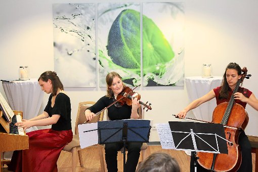 Sophia Weidemann (Klavier), Jelena Galic (Violine) und Hannah Schmidt (Cello, von links) bei ihrem Konzert im Altenzentrum Raphael. Foto: Weber Foto: Schwarzwälder-Bote