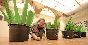 Gartenschaunachlese (von Reinhard Sigle) wächst und gedeiht in der Ausstellung des Kunstvereins im Franziskanermuseum.  Fotos: Kienzler Foto: Schwarzwälder-Bote