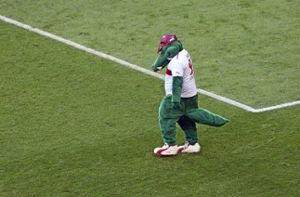 Auch VfB-Maskottchen Fritzle ist traurig, aber Schwanz einziehen hilft nicht. Ebensowenig wie Schuldzuschiebungen - eine Hitliste: Foto: Baumann