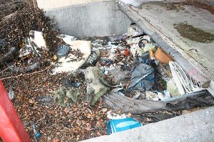 Schön sieht es nicht aus, doch der Abfall innerhalb des Maute-Areals bleibt wohl vorerst liegen, denn das Landratsamt kann in diesem Fall nicht eingreifen und den Müll entsorgen. Foto: Midinet