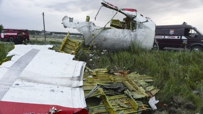 MH17-Wrackteil im Wald versteckt