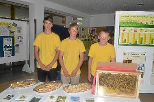 Eines von zahlreichen erfolgreichen Projekten an der GMS Mönchweiler: Lukas Ratzinger (von links), Gabriel Wuchner und Adrian Leute beschäftigen sich mit dem Thema Bienen.  Foto: Hettich-Marull Foto: Schwarzwälder-Bote