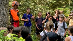 Natur in Loßburg: Das Ziel: ein gesunder Mischwald