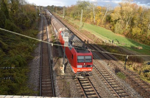 Der Zugverkehr auf der Rheintalstrecke kam am Mittwochmorgen kurzzeitig zum erliegen. Grund war ein vermeintlicher Bombenfund auf Höhe des Hohberger Teilorts Niederschopfheim. Foto: Göpfert