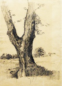 Baum-Solitäre sind oft ein Blickfang – besonders für Künstler. Foto: VG Bildkunst