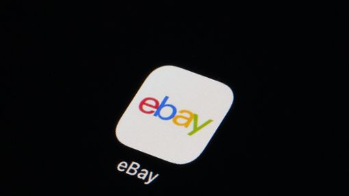 Ebay muss eine Millionenstrafe zahlen. Foto: dpa/Matt Slocum