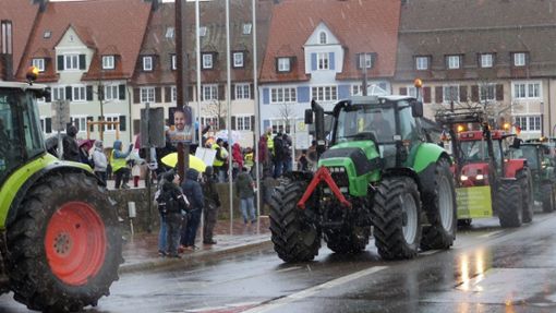 Am Marktplatz wurden die Traktoren von den Demonstranten mit großem Jubel empfangen. Foto: Beyer