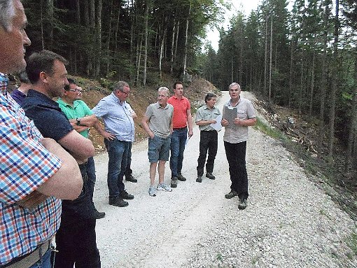 Mit interessanten Informationen und Details machten sich die Mitglieder des Straßberger Gemeinderats vertraut, als sie den Wald besucht haben. Fotos: Gemeinde Foto: Schwarzwälder-Bote
