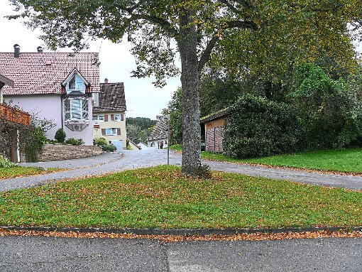 Diese Verkehrsinsel samt Baum kommt weg.  Foto: Visel Foto: Schwarzwälder-Bote