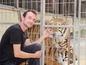 Christian Walliser mit einem seiner sibirischen Tiger.   Foto:  Möllers Foto: Schwarzwälder-Bote