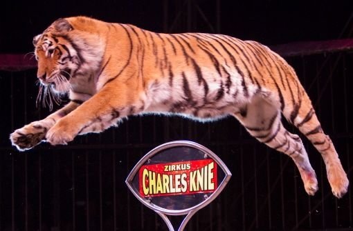 Zirkusgegner fordern ein Wildtierverbot. Foto: dpa
