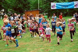 Der Bad Herrenalber Lauf steht am 25. Juni zum zwölften Mal auf dem Programm.  Foto: Archiv Foto: Schwarzwälder-Bote