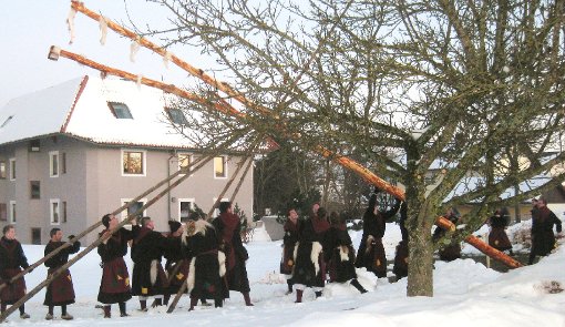 Die Schoaf-Hexen stellen bei der Gemeindehalle in Weiler   ihren Narrenbaum in Form eines Treibstocks auf. Dieser wird am Dienstag versteigert.  Fotos: Kammerer Foto: Schwarzwälder-Bote