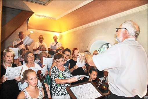In Thanheim wurde Patrozinium gefeiert: Der Kirchenchor bereicherte die Feier  mit der  Haydn-Messe. Foto: Wahl Foto: Schwarzwälder-Bote