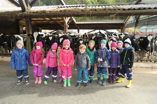 Kuhl: Die Kinder der Kita Ulrichstraße erleben das Leben auf dem Bauernhof. Foto: Straub Foto: Schwarzwälder-Bote